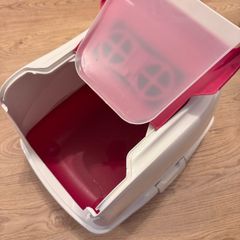 cat litter