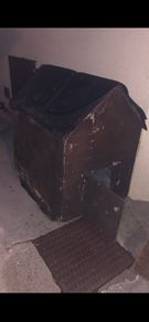 Free Dog Box