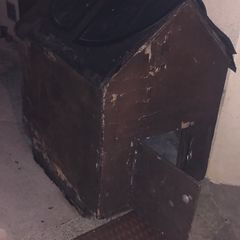 Free Dog Box