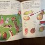 Vintage book a big playbook for boys and girls Image 10