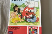 Irish language children's book