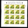 2005 Ireland Fauna and Flora (Butterflies) Commemorative Stamp Sheetlet Plate 1A1A1A1A  Fine CDS Used with Dublin cancel of 24th May 2005 (First day of issued) on envelope extract. Image 3