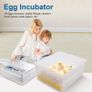 16 Eggs Automatic Incubator, Hatcher Machine with Temperature Control, Automatic Egg Turning + Built-in Egg Candler, Clear General Purpose Incubators for Chickens Ducks Goose Birds Image 2