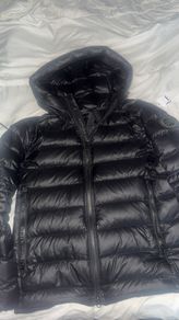 canada goose
