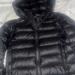 canada goose