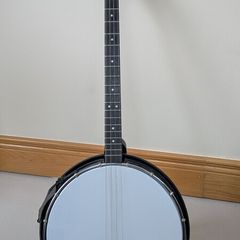 Goldtone Tenor Banjo AC-4 (with resonator)