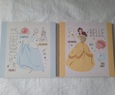 Wall Decoration - 2 Disney princess canvas pictures - Cinderella and Belle.