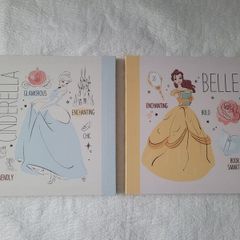 Wall Decoration - 2 Disney princess canvas pictures - Cinderella and Belle.