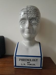 L.N. Fowler Phrenology Head 40cm