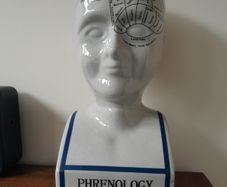 L.N. Fowler Phrenology Head 40cm