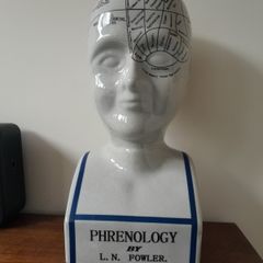 L.N. Fowler Phrenology Head 40cm