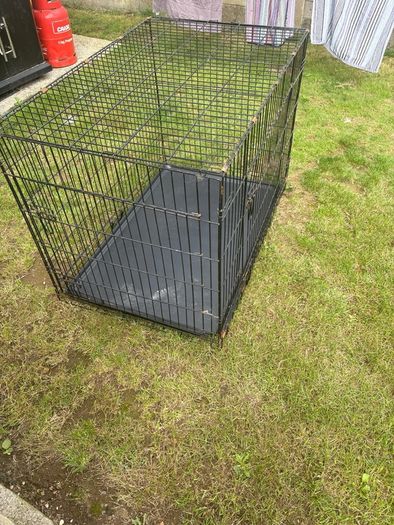 dog crate