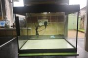 Tetra 28L tank