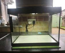 Tetra 28L tank