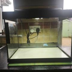 Tetra 28L tank