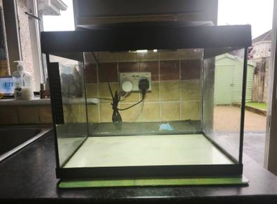 Tetra 28L tank