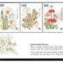 1990 Ireland Irish Garden Flowers Commemorative Stamp Booklet Mint Never Hinged (MNH). Scanned images of panes included but item is complete booklet Image 4