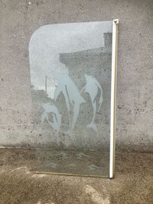 shower door