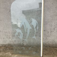 shower door