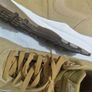 man trainers Image 6