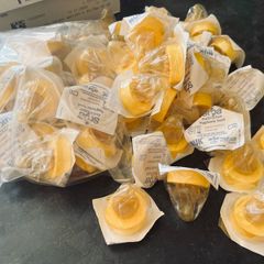 Disposable Teats