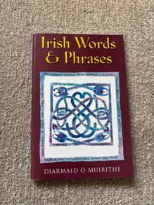 Irish Words & Phrases by Diarmaid O Muirithe