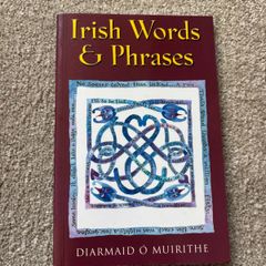 Irish Words & Phrases by Diarmaid O Muirithe