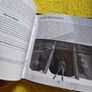 Tomb Raider PlayStation1 Ps1 PlayStation2 Ps2 games Original Image 6
