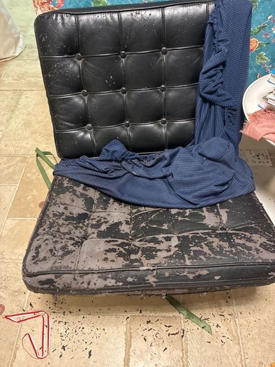 Barcelona Chair