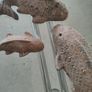 handmade garden decor Image 2