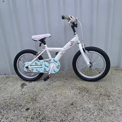 Apollo bike