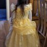 Beauty and the Beast costume. Image 3