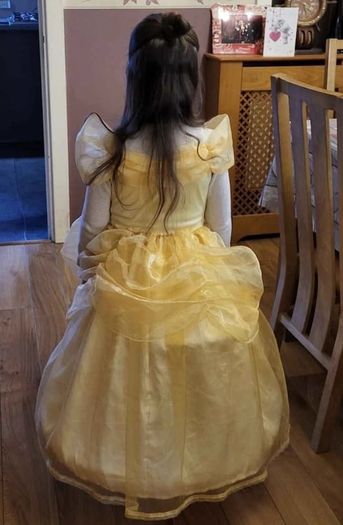 Beauty and the Beast costume.