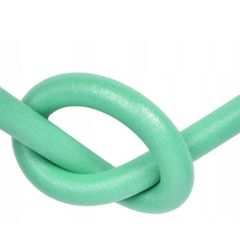 Pool noodle green