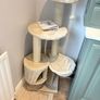 cat tree Image 4