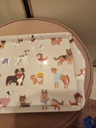 Doggy platter