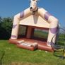 bouncing castle Image 2