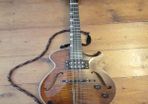 Mandolin