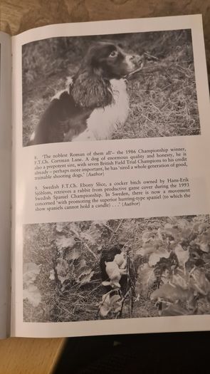 The Working Spaniel. By Keith Erlandson. FIRST EDITION. How To Choose. Train. Work. And Trial Your Dog. Hardback With Dustjacket In Good Condition.