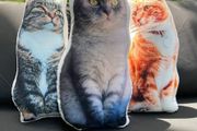 cat shaped cushion