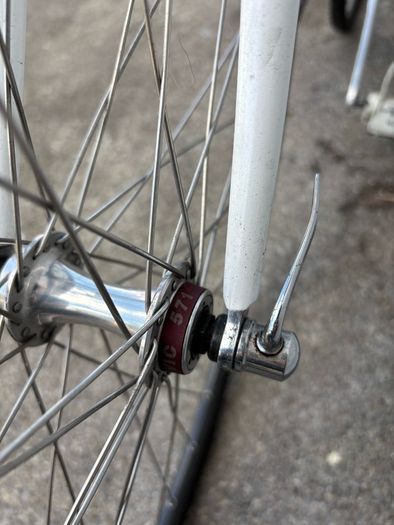 Basso loto