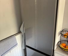 Samsung fridge freezer