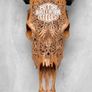 harley skull Image 2