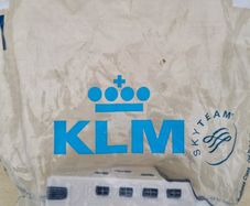 KLM Delft Blue collector's house