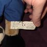 1994 World Cup Mascot Plush Image 7