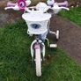 Toddler frozen bike Image 2