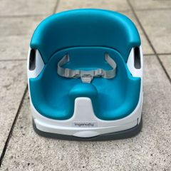 Ingenuity baby seat