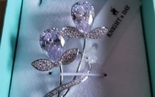 BNWT - Knight & Day brooch