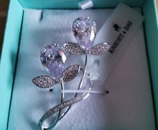 BNWT - Knight & Day brooch