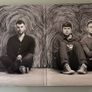 Bleeding Heart Pigeons - Is. Debut double LP by Limerick trio. Gatefold sleeve. As new - played twice. With printed inner sleeves. Image 3